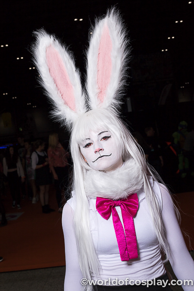 Bunny cosplayer