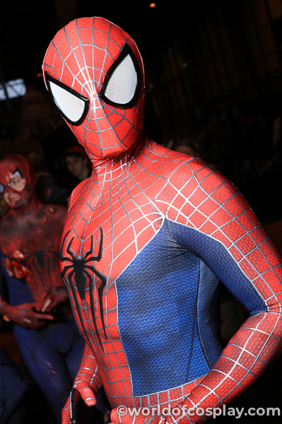 Spiderman cosplay