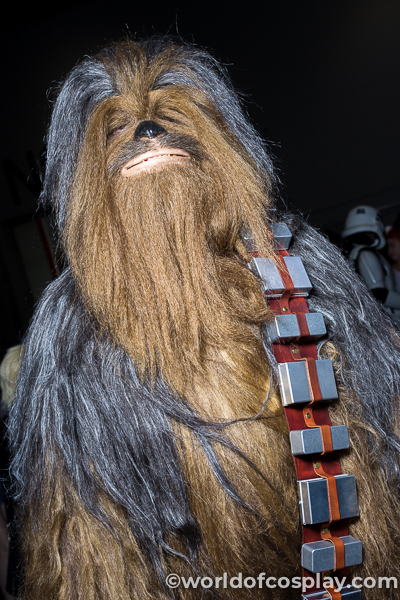 Star Wars Chewbacca cosplay