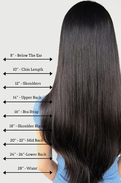 Wig hair-length chart